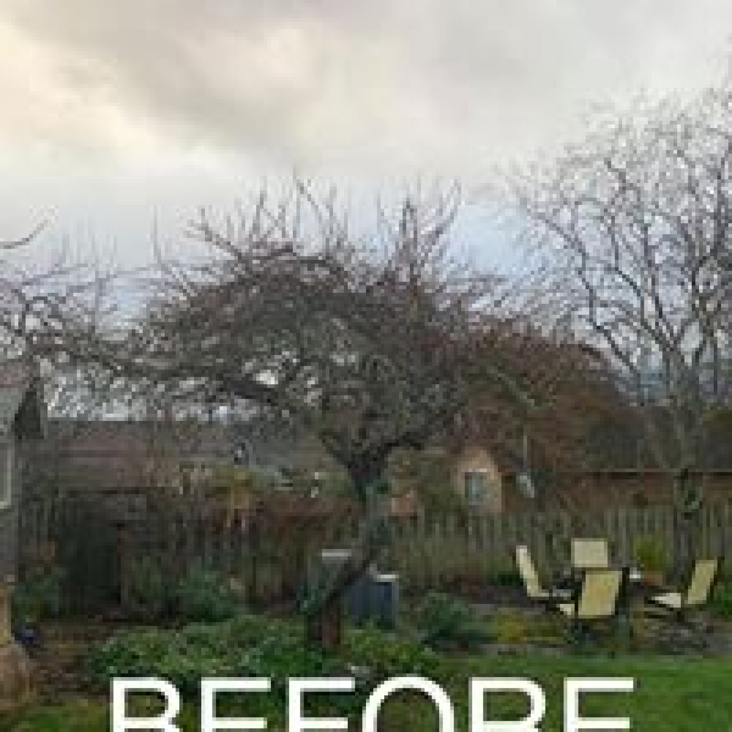 Trimming & Pruning Port Angeles, WA Finishing Touch Landscape & Design