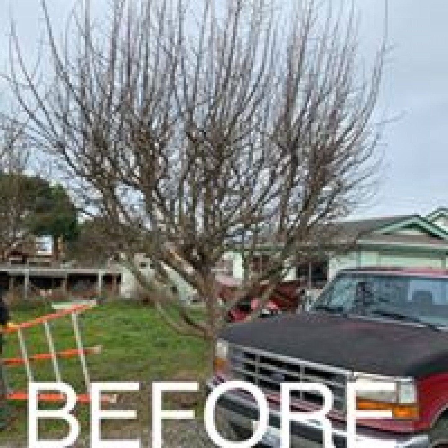 Trimming & Pruning Port Angeles, WA Finishing Touch Landscape & Design