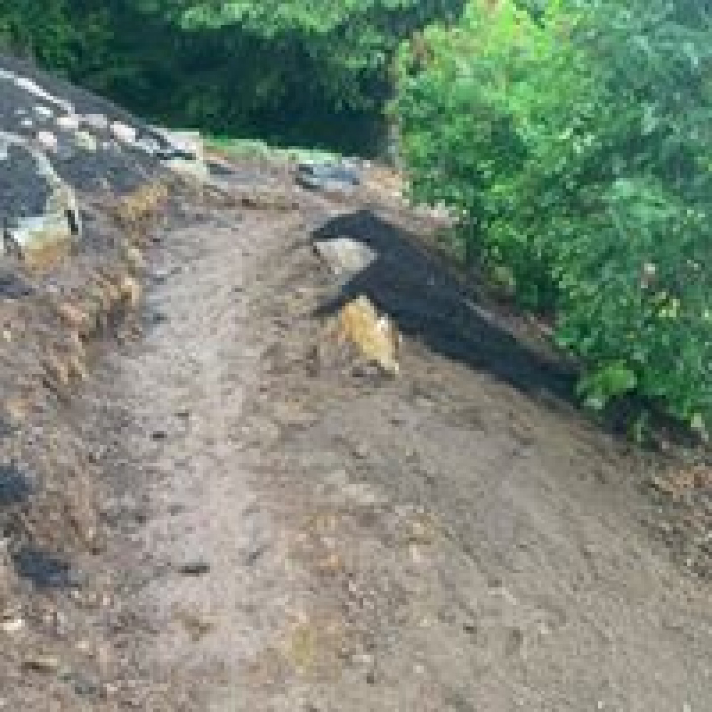 Residential Landscaping Port Angeles, WA Finishing Touch Landscape